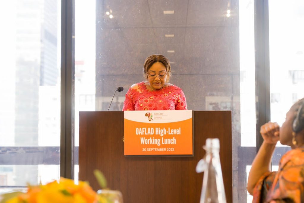 New-York: L’Organisation des Premières Dames d’Afrique pour le Développement examine ses priorités