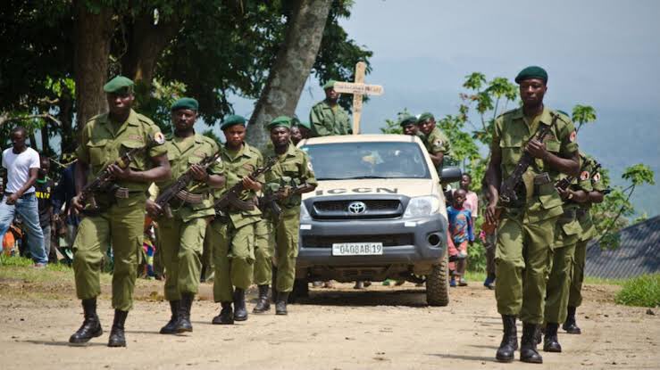 Nord-Kivu : Une attaque contre les éco-gardes du parc de Virunga fait 1 mort et 1 blessé