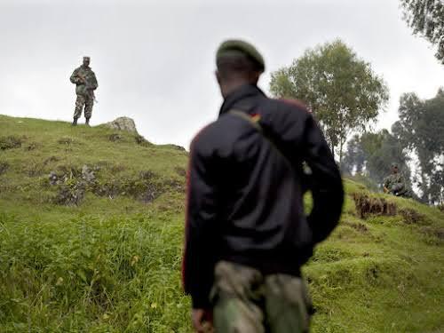 RDC : Le Rwanda libère, après deux jours de détention, un militaire congolais arrêté par les RDF