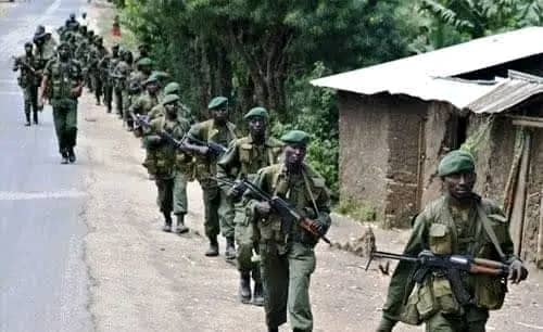 Nord-Kivu : Les FARDC déjouent une embuscade des Maï-Maï près de Butembo