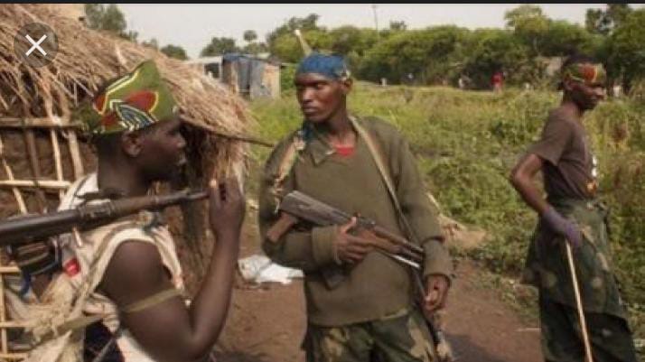 Beni : l’armée neutralise deux miliciens Maï-Maï