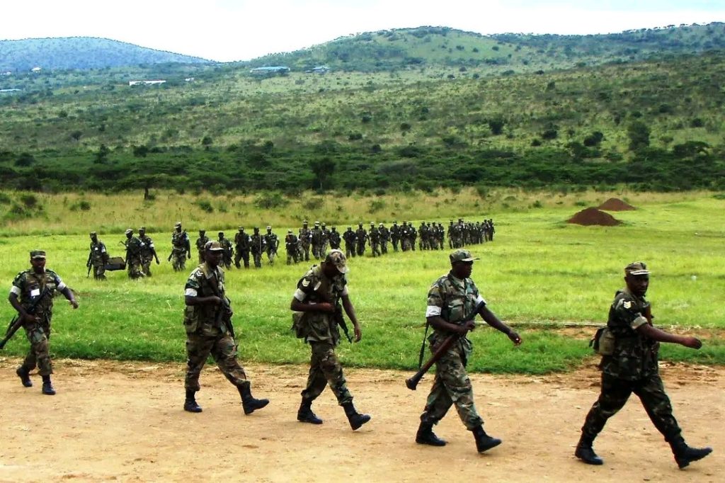 Agression dans l’Est : Le Rwanda utilise « les FDLR comme prétexte » pour piller les ressources naturelles de la RDC