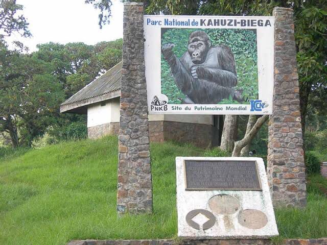 Réhabilitation du parc Kahuzi-Biega: La RDC et le Fonds pour la Consolidation de la Paix de l’ONU signent un accord de 3 millions USD